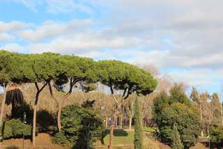 Italy (Jan 2012) 128.jpg